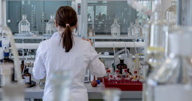 Why a global city is so vulnerable to virus spread